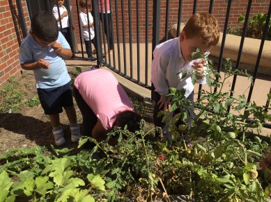 201 Nature Walk IMG_4415.JPG