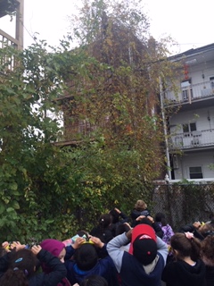 5-“The birds are blending into the leaves and we can’t see them. Predators will have a hard time trying to find and eat them.”